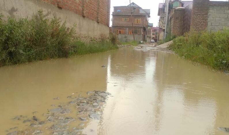 Dilapidated Road Condition Peeves Natipora Srinagar Residents