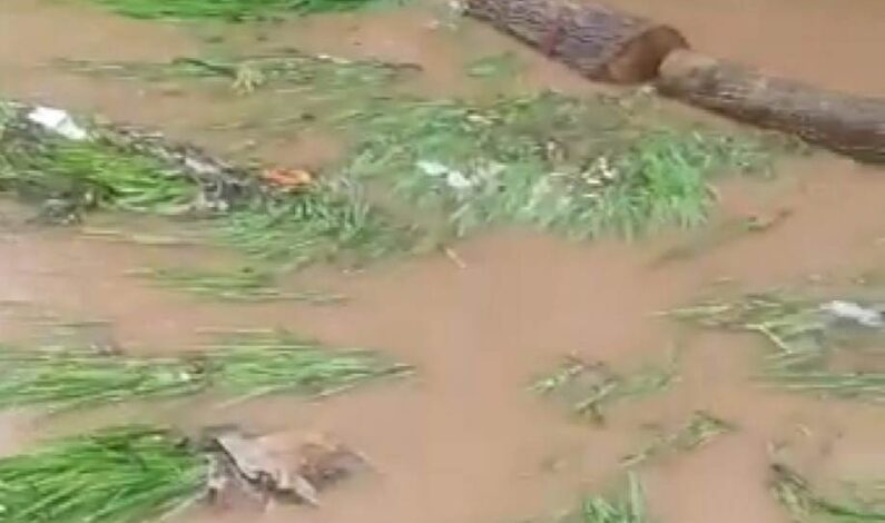 Kupwara: Flash floods cause widespread damage to agricultural fields in Lolab Kupwara: Flash floods cause widespread damage to agricultural fields in Lolab