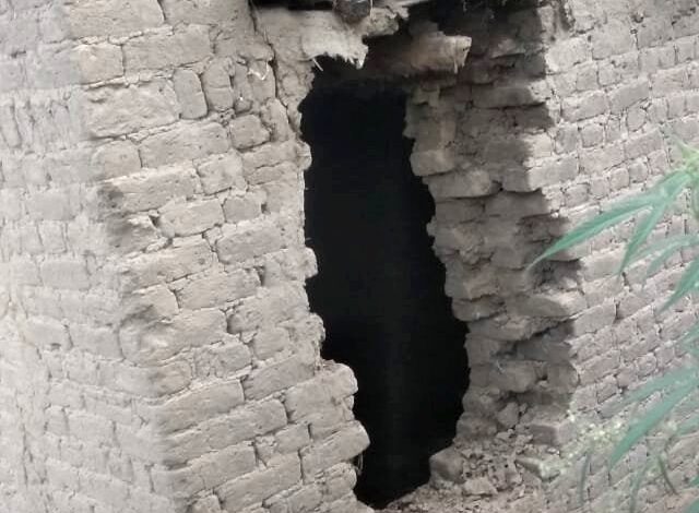 Thieves steal dozen of cattle in Kulgam Thieves steal dozen of cattle in Kulgam