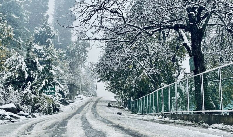 Rain, snow continue in J&K; MeT forecasts more wet weather till Nov 11 Rain, snow continue in J&K; MeT forecasts more wet weather till Nov 11